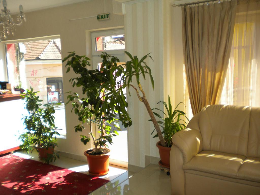 קלוז'-נאפוקה Hotel Ary מראה חיצוני תמונה