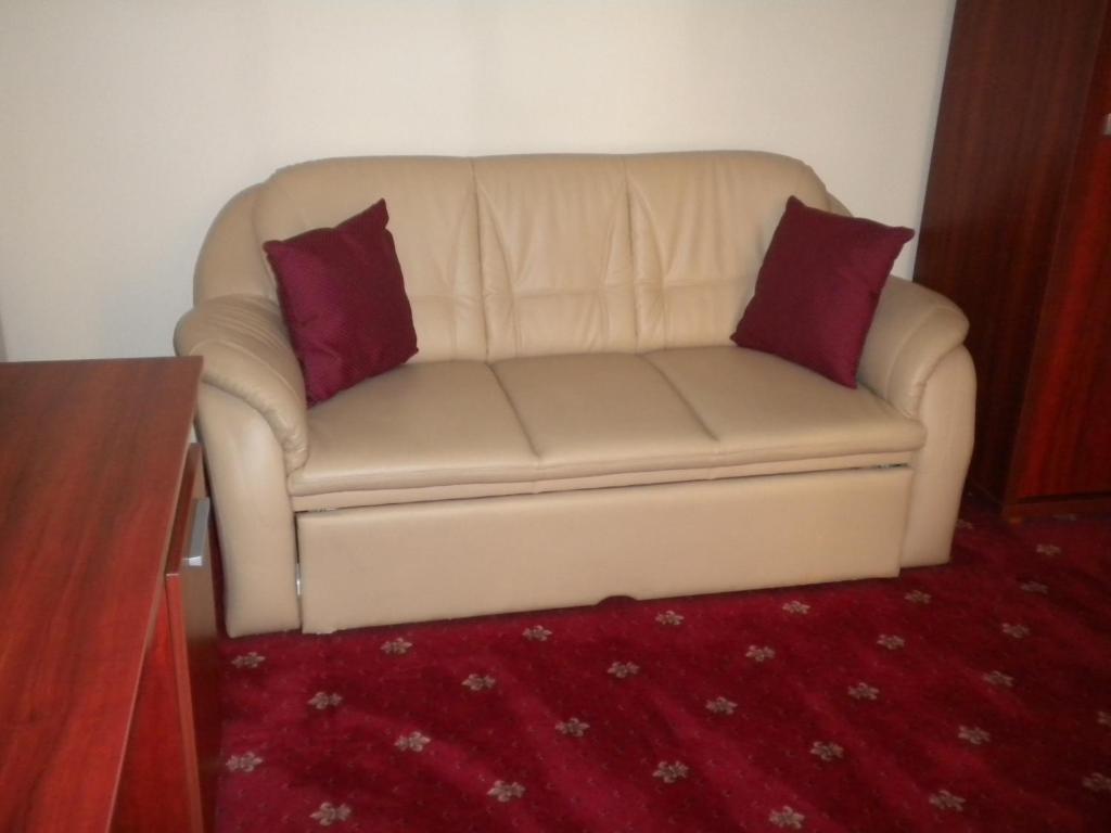 קלוז'-נאפוקה Hotel Ary חדר תמונה
