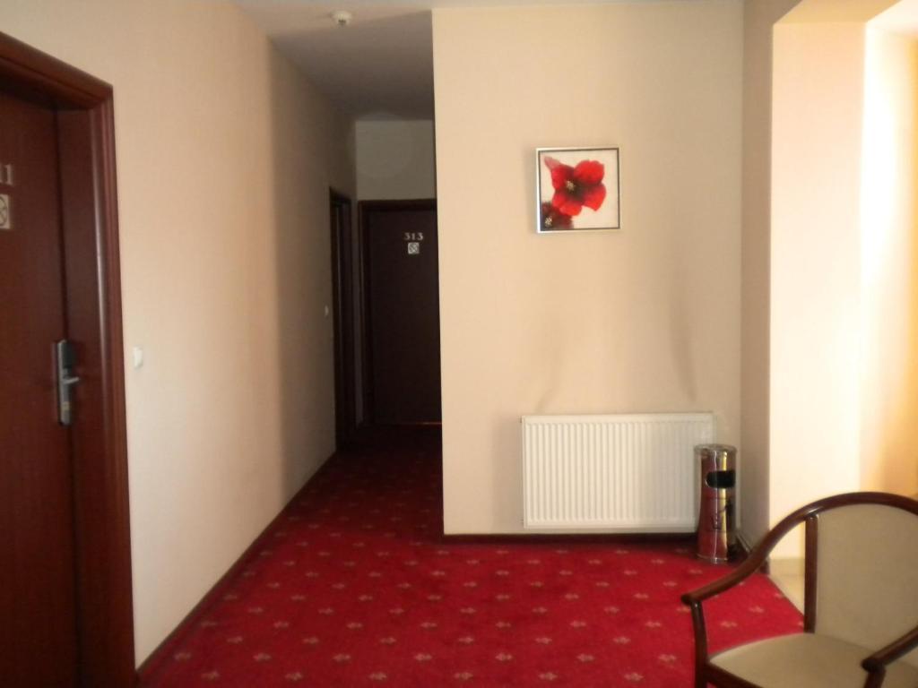 קלוז'-נאפוקה Hotel Ary מראה חיצוני תמונה